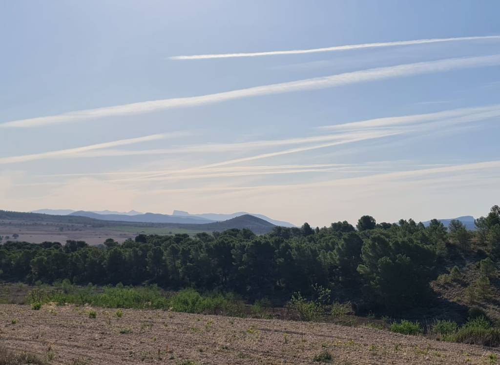 Venta - Terreno - Raspay - Rural location