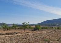 Venta - Terreno - Raspay - Rural location