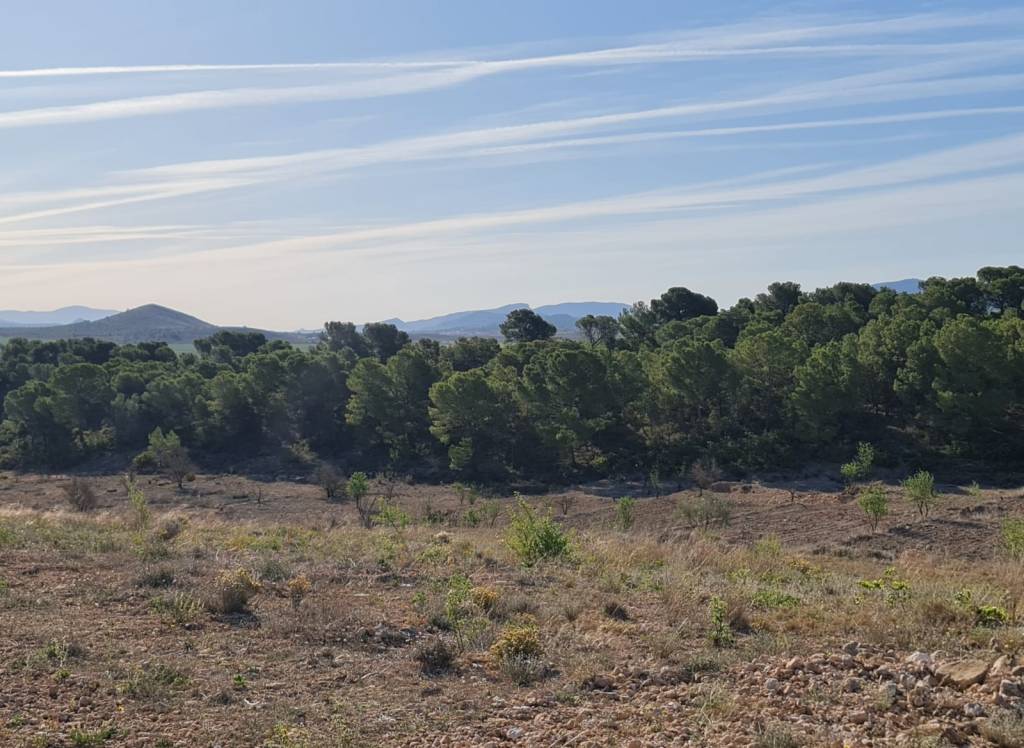 Venta - Terreno - Raspay - Rural location