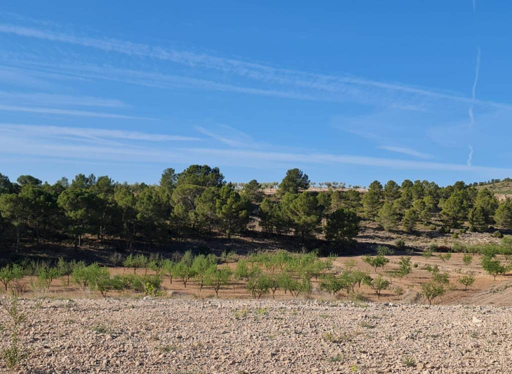 Venta - Terreno - Raspay - Rural location