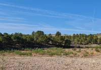 Venta - Terreno - Raspay - Rural location