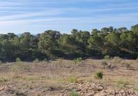 Venta - Terreno - Raspay - Rural location