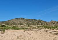 Venta - Terreno - Raspay - Rural location