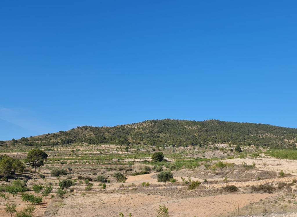 Venta - Terreno - Raspay - Rural location