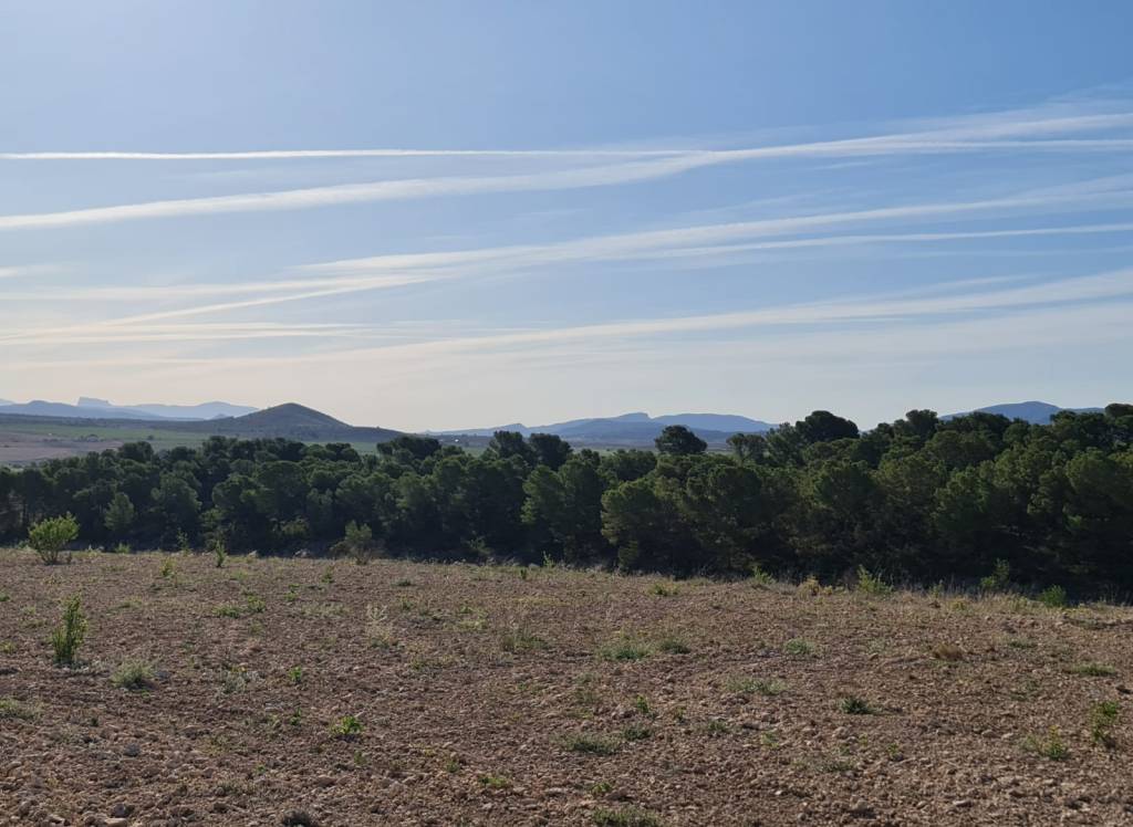 Venta - Terreno - Raspay - Rural location