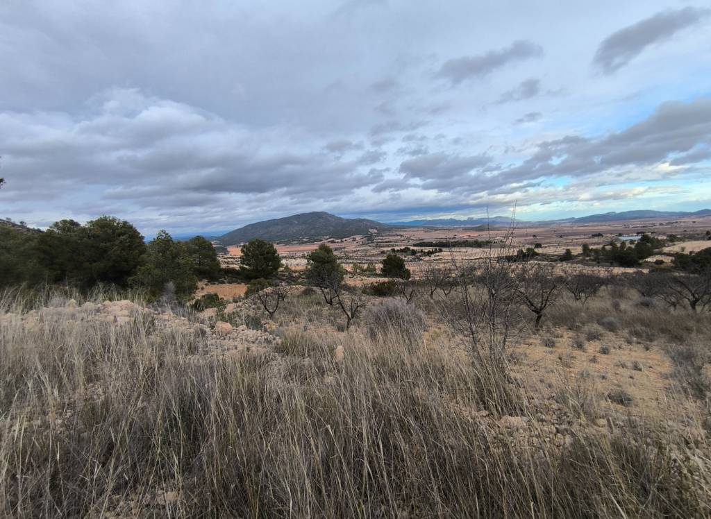 Venta - Terreno - Raspay - Rural location