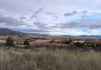 Venta - Terreno - Raspay - Rural location