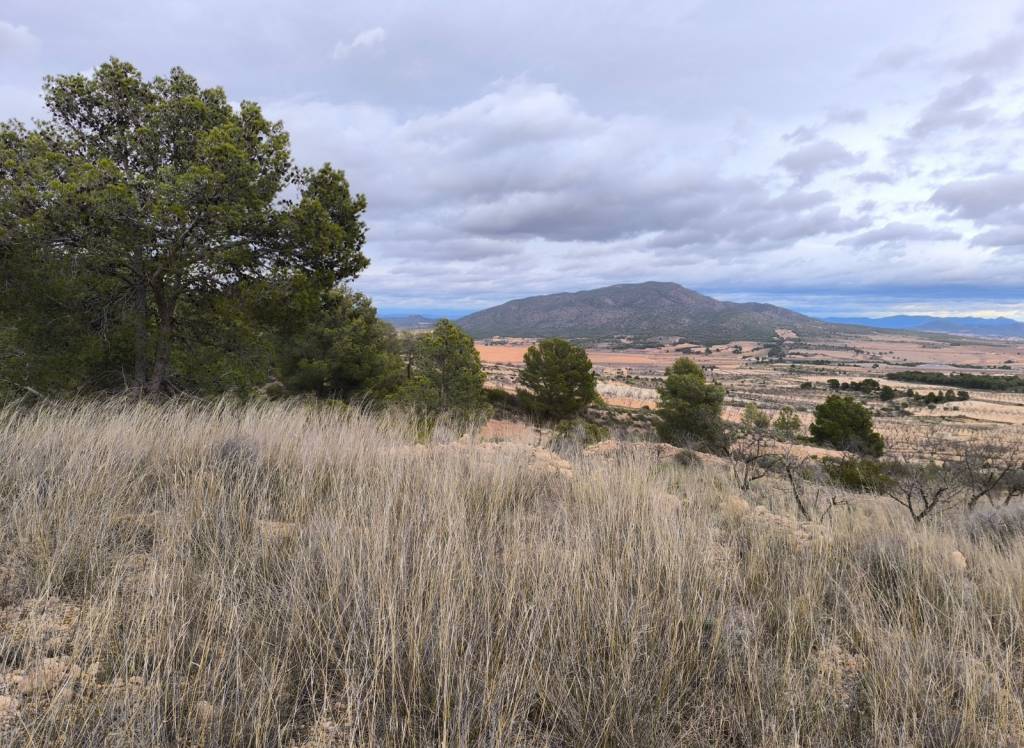 Venta - Terreno - Raspay - Rural location