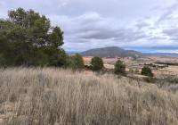 Venta - Terreno - Raspay - Rural location