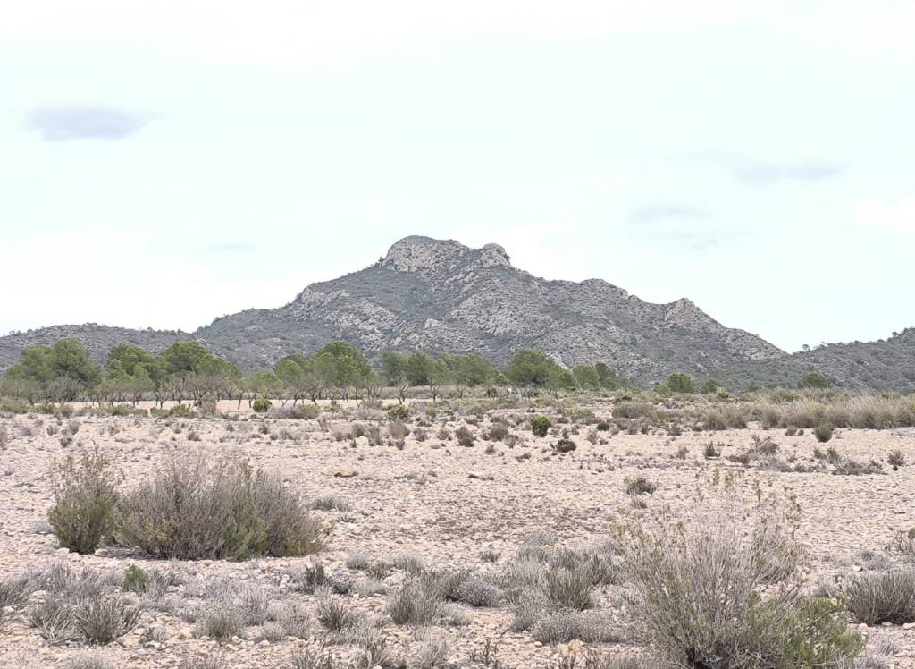 Venta - Terreno - Salinas - Rural location