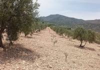 Venta - Terreno - Salinas