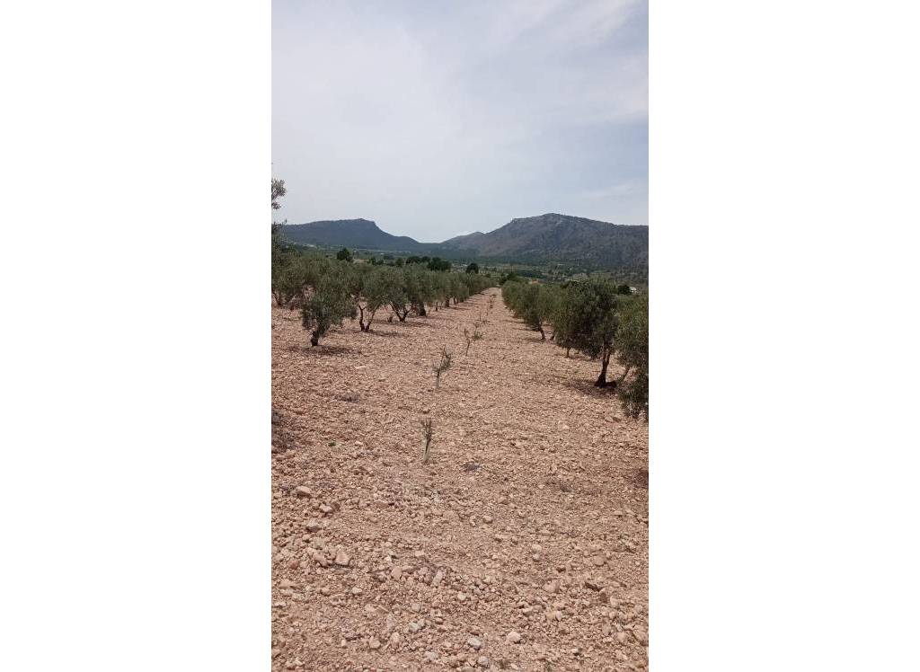 Venta - Terreno - Salinas