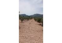 Venta - Terreno - Salinas