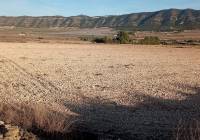 Venta - Terreno - Salinas