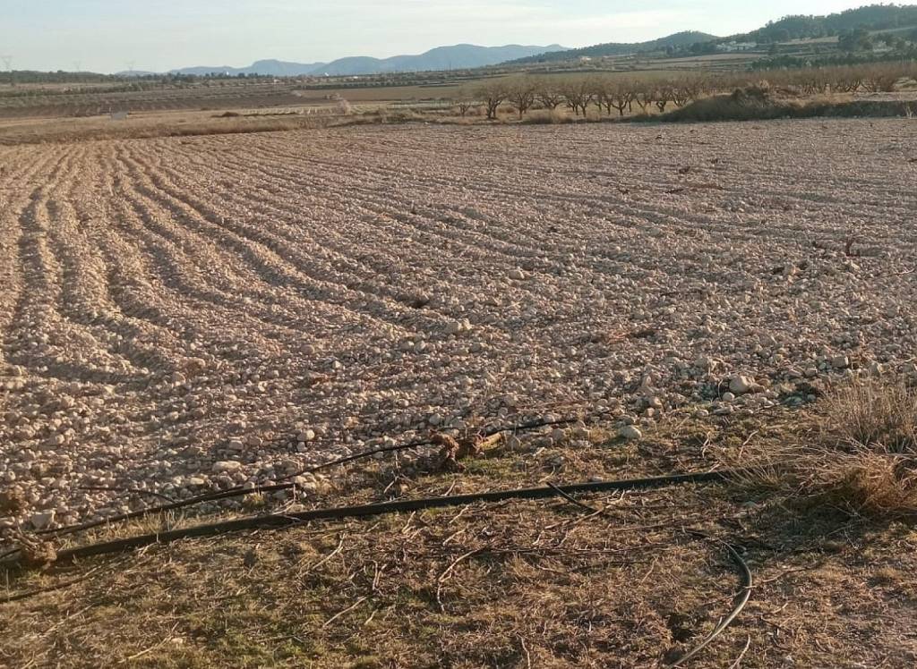 Venta - Terreno - Salinas