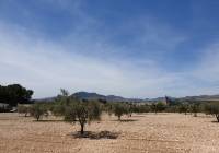 Venta - Terreno - Sax - Rural location