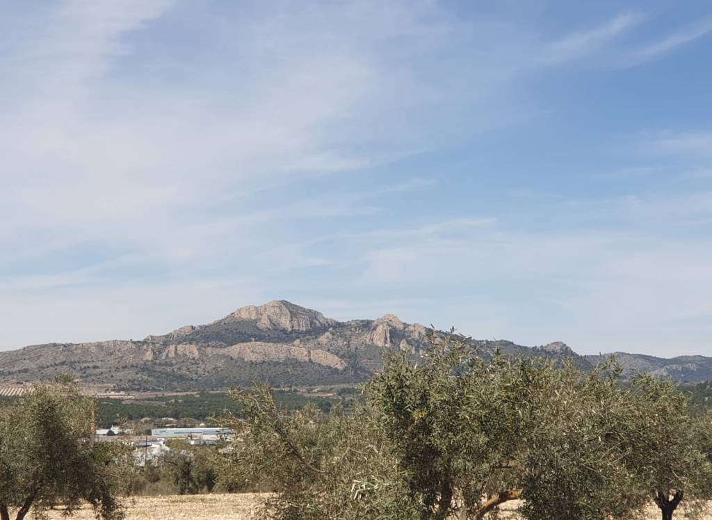 Venta - Terreno - Sax - Rural location