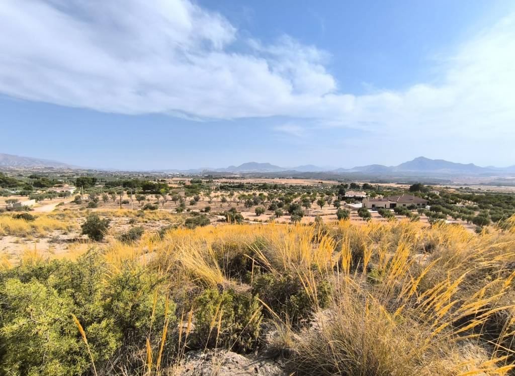 Venta - Terreno - Sax - Rural location