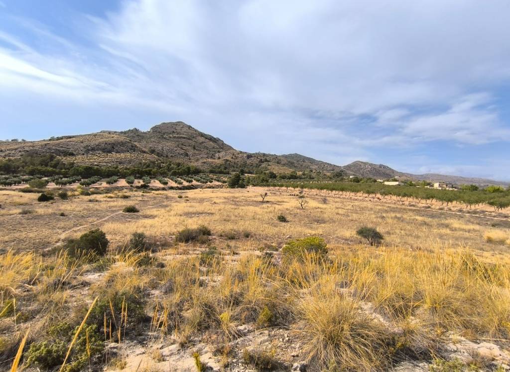 Venta - Terreno - Sax - Rural location