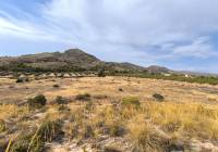 Venta - Terreno - Sax - Rural location