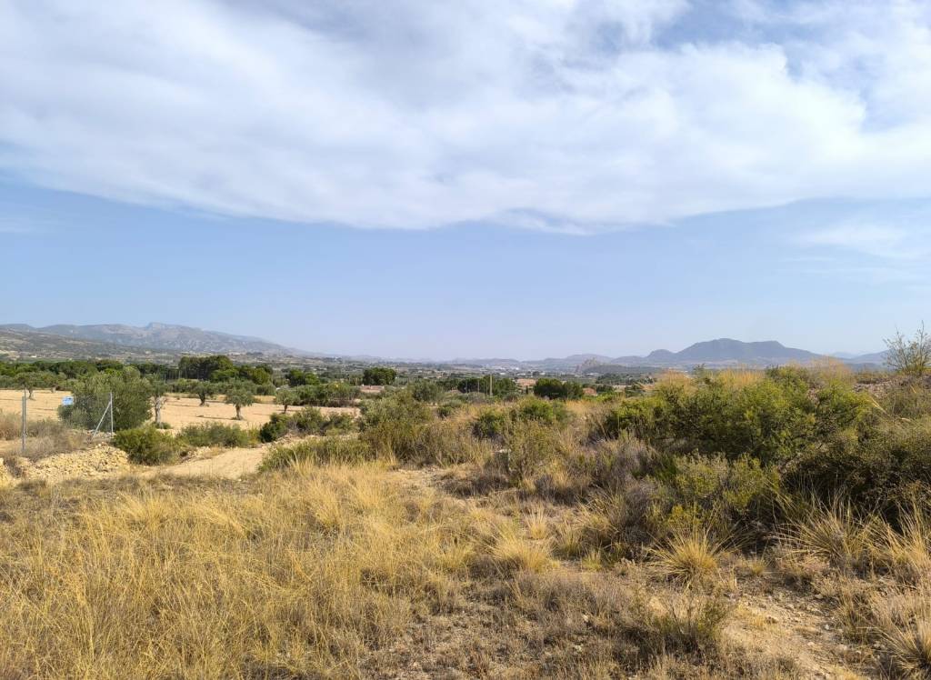 Venta - Terreno - Sax - Rural location