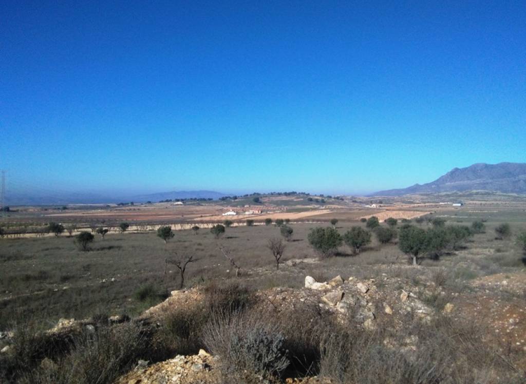 Venta - Terreno - Torre Del Rico - Rural location