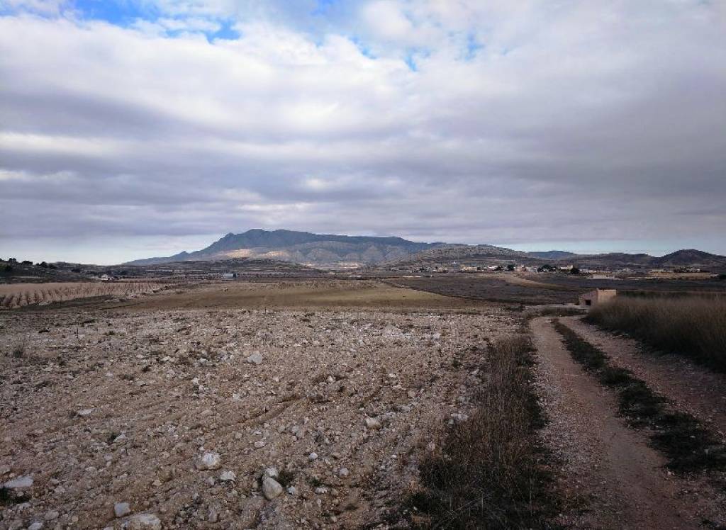 Venta - Terreno - Torre Del Rico - Rural location