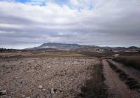 Venta - Terreno - Torre Del Rico - Rural location