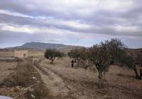 Venta - Terreno - Torre Del Rico - Rural location