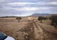 Venta - Terreno - Torre Del Rico - Rural location