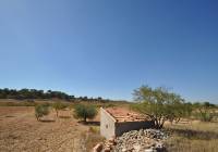 Venta - Terreno - Torre Del Rico - Rural location