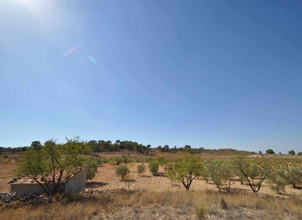 Venta - Terreno - Torre Del Rico - Rural location