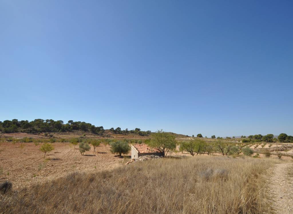 Venta - Terreno - Torre Del Rico - Rural location