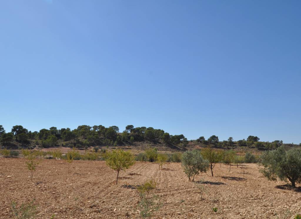 Venta - Terreno - Torre Del Rico - Rural location