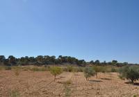 Venta - Terreno - Torre Del Rico - Rural location