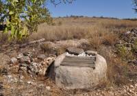 Venta - Terreno - Torre Del Rico - Rural location