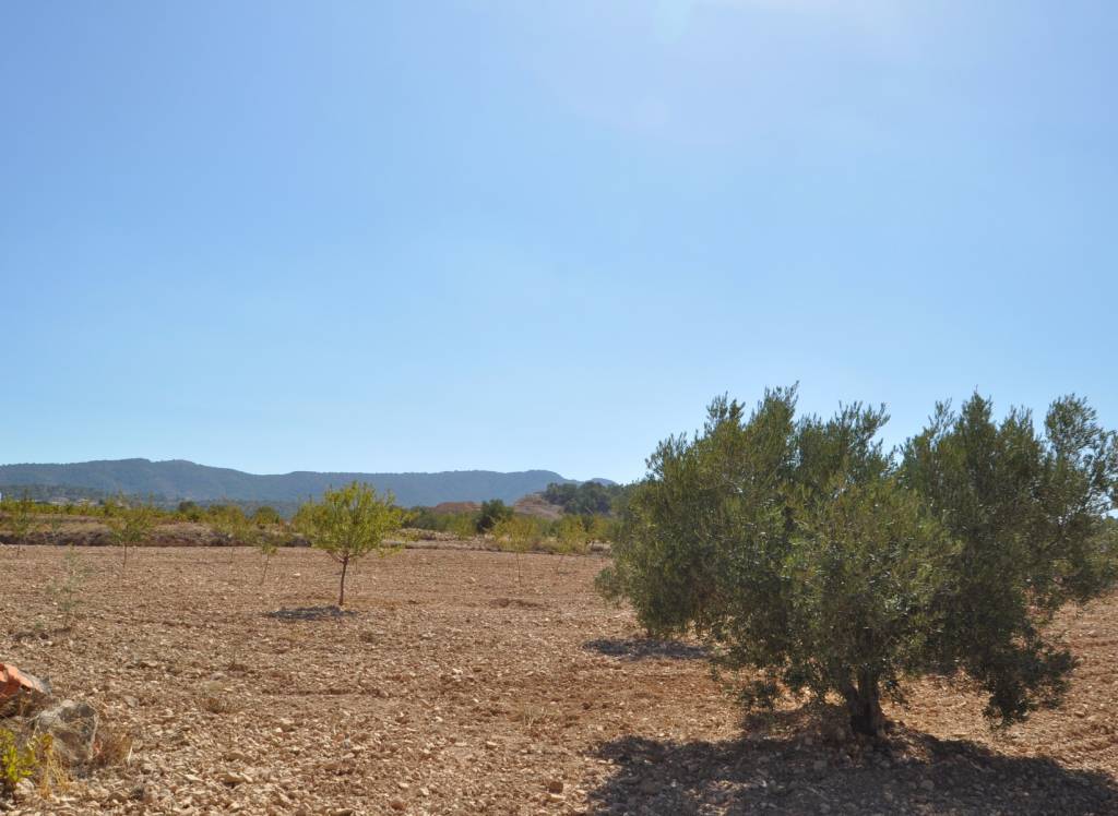 Venta - Terreno - Torre Del Rico - Rural location