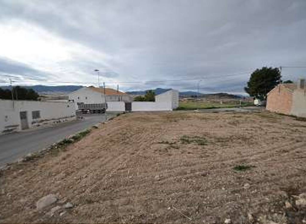 Venta - Terreno - Torre Del Rico - Rural location