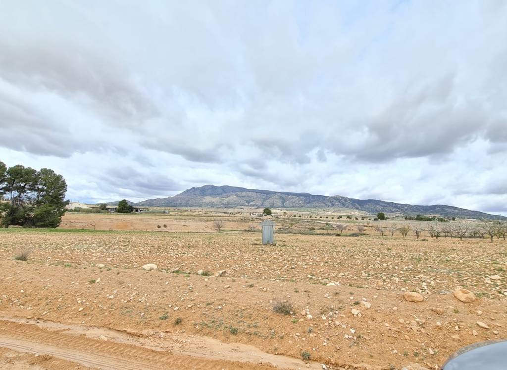 Venta - Terreno - Torre Del Rico - Rural location