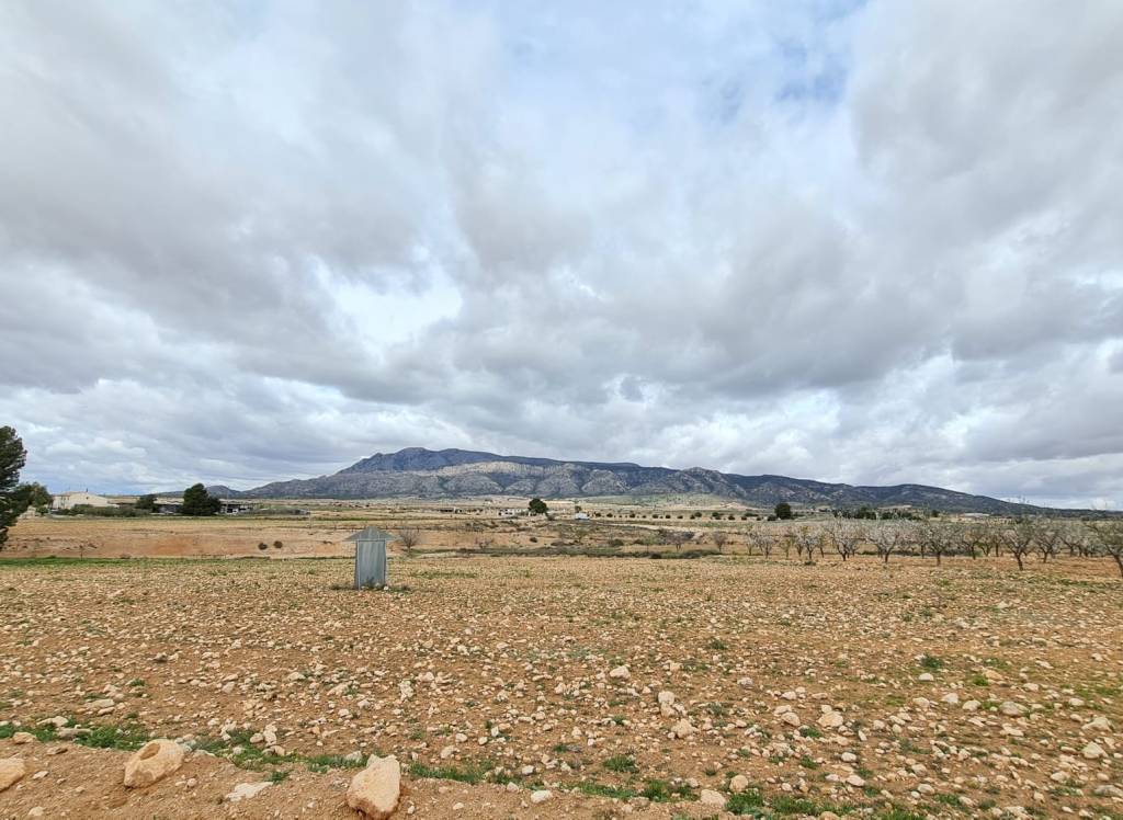 Venta - Terreno - Torre Del Rico - Rural location
