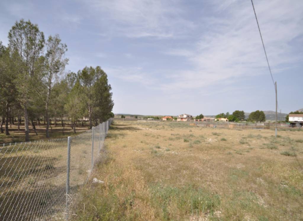 Venta - Terreno - Villena - Rural location