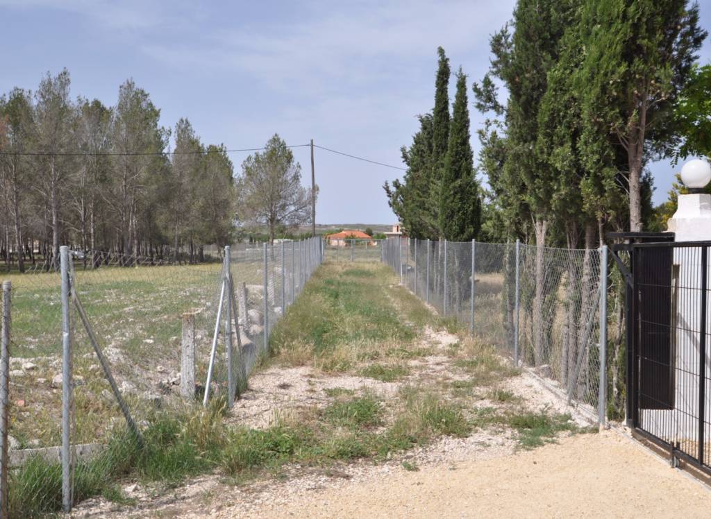 Venta - Terreno - Villena - Rural location