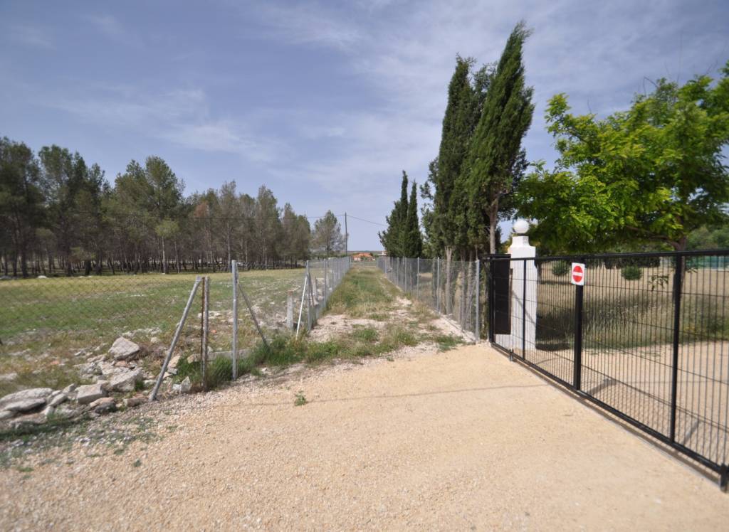 Venta - Terreno - Villena - Rural location