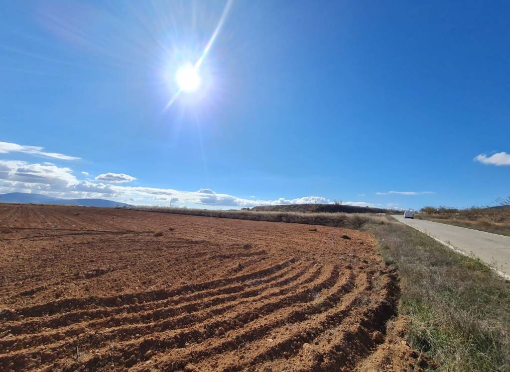Venta - Terreno - Yecla - Rural location