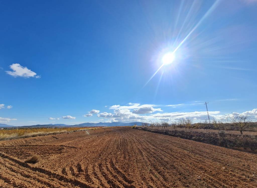Venta - Terreno - Yecla - Rural location