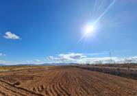 Venta - Terreno - Yecla - Rural location