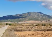 Venta - Terreno - Yecla - Rural location