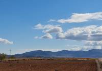 Venta - Terreno - Yecla - Rural location