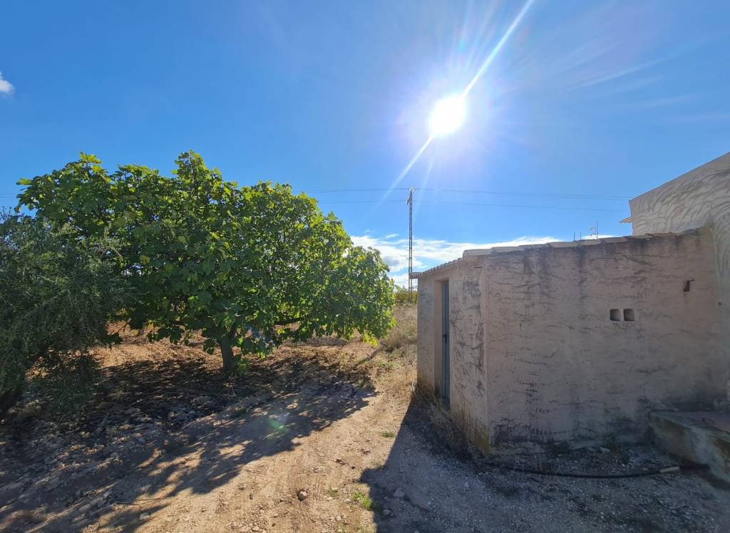 Venta - Terreno - Yecla - Rural location