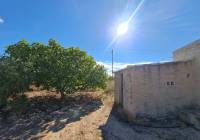 Venta - Terreno - Yecla - Rural location